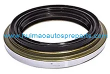Oil Seal 1