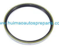 Oil Seal 1
