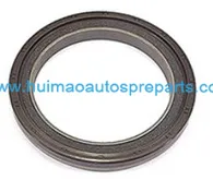 Oil Seal 1
