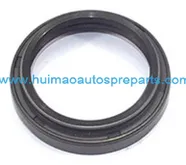Oil Seal 1