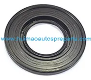 Oil Seal 1