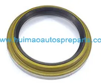 Oil Seal 1