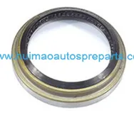Oil Seal 1