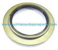 Oil Seal 1
