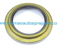 Oil Seal 1