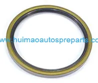 Oil Seal 1