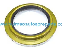 Oil Seal 1