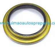Oil Seal 1