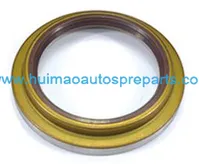 Oil Seal 1