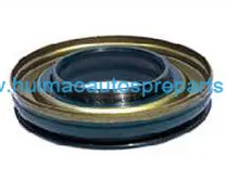 Oil Seal 1