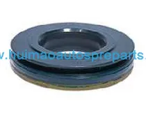 Oil Seal 1