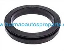 Oil Seal 1