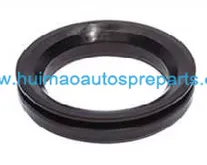 Oil Seal 1
