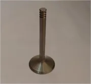 Exhaust Valve