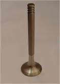 Exhaust Valve