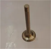 Exhaust Valve