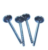 Exhaust Valve