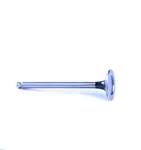 Exhaust Valve