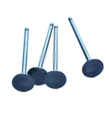 Exhaust Valve