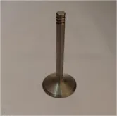 Inlet Valve