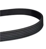 V-Ribbed Belt