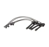 Ignition Wire Set