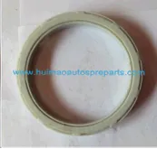 Friction Bearing