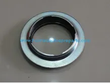 Friction Bearing