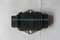 Ignition Module