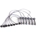 Ignition Wire Set