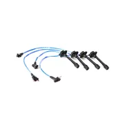 Ignition Wire Set