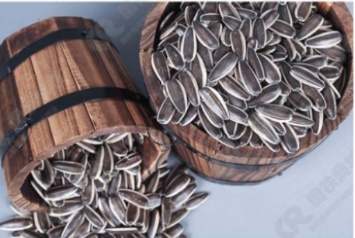 Superior Seed Melons Producer Leading International Markets