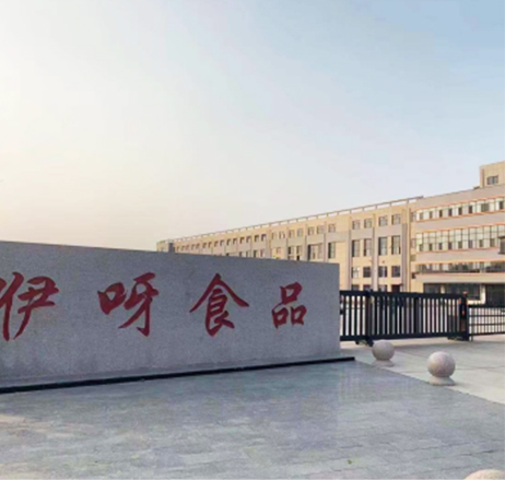 Read More About Original Sunflower Seed