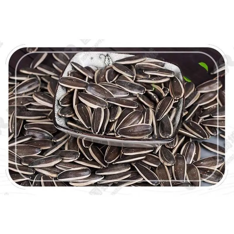 Healthy Sunflower Seeds The Perfect Balance of Nutrition and Taste