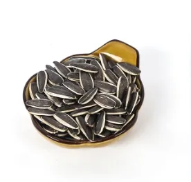 Sunflower Seeds Snacks: A Nutritious and Delicious Choice