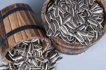 The Sunflower Seed Spectrum: Exploring Raw Seeds to Gourmet Snack Recipes