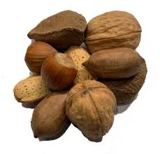 मेलोन बीज र पंपकिन बीज उत्पन्न गर्नुहोस् ।