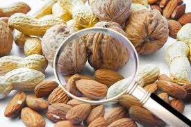 seed melon supplier