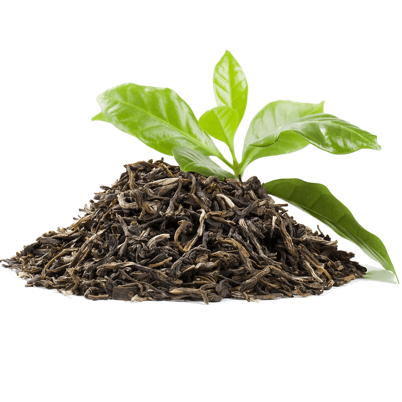 Roasted and Salted Sunflower Seed Production Facilities and Their Key Features