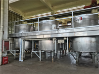 Bulk Purchase of Chinese Roasted Sunflower Seeds for Health and Snacking