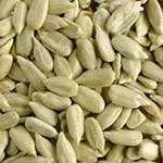 large particle size sunflower seeds supplier