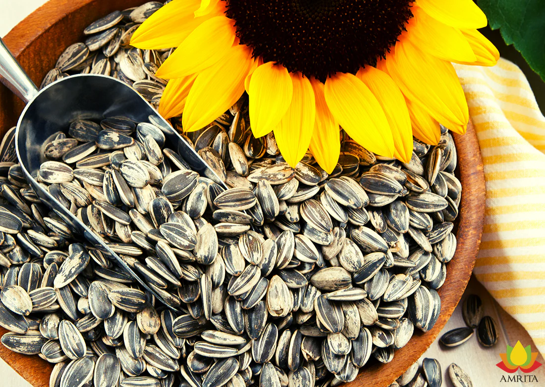 original flavor sunflower seeds exporter