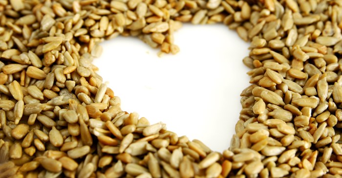 high quality small size sunflower seeds