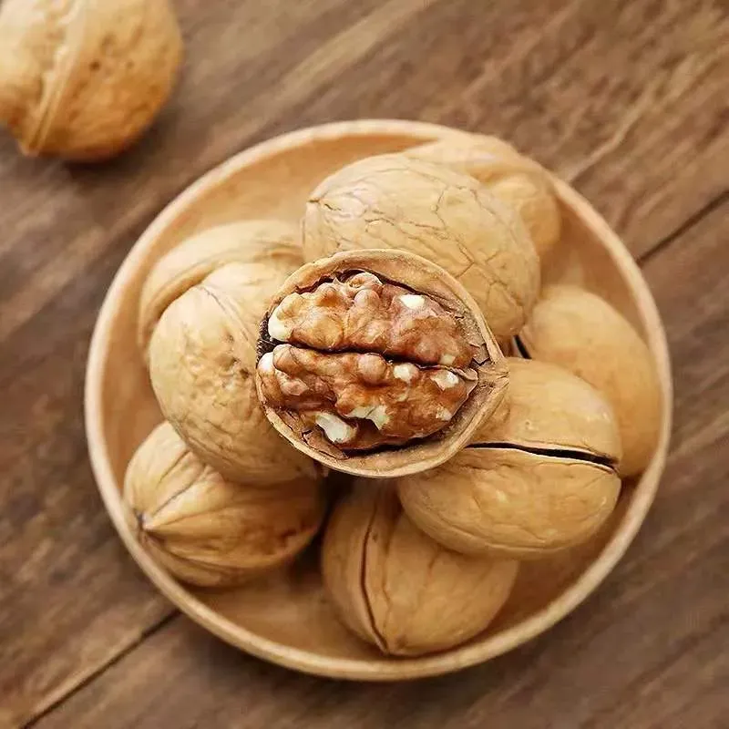 buy melon seeds supplier