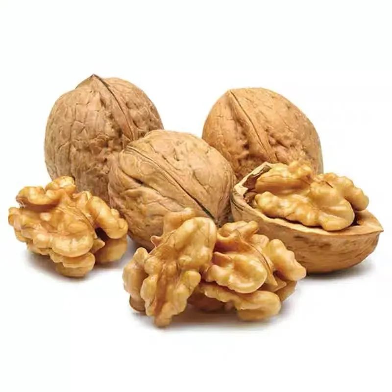 Fried Melon Seeds Production Plant for Quality Snack Manufacturing