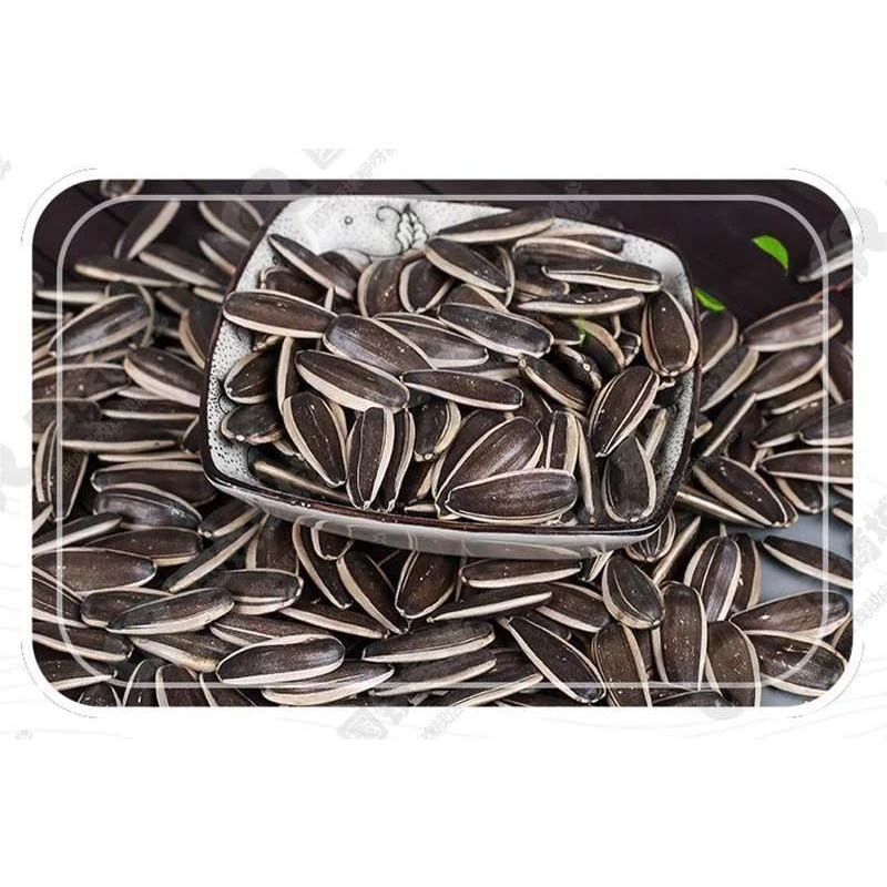 raw hulled sunflower seeds factory