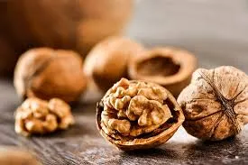 Top Choices for Sunflower Seeds and Pumpkin Seeds You’ll Love