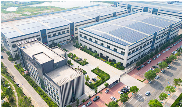 Güneş çiçekleri organik Güneş çiçekleri organik