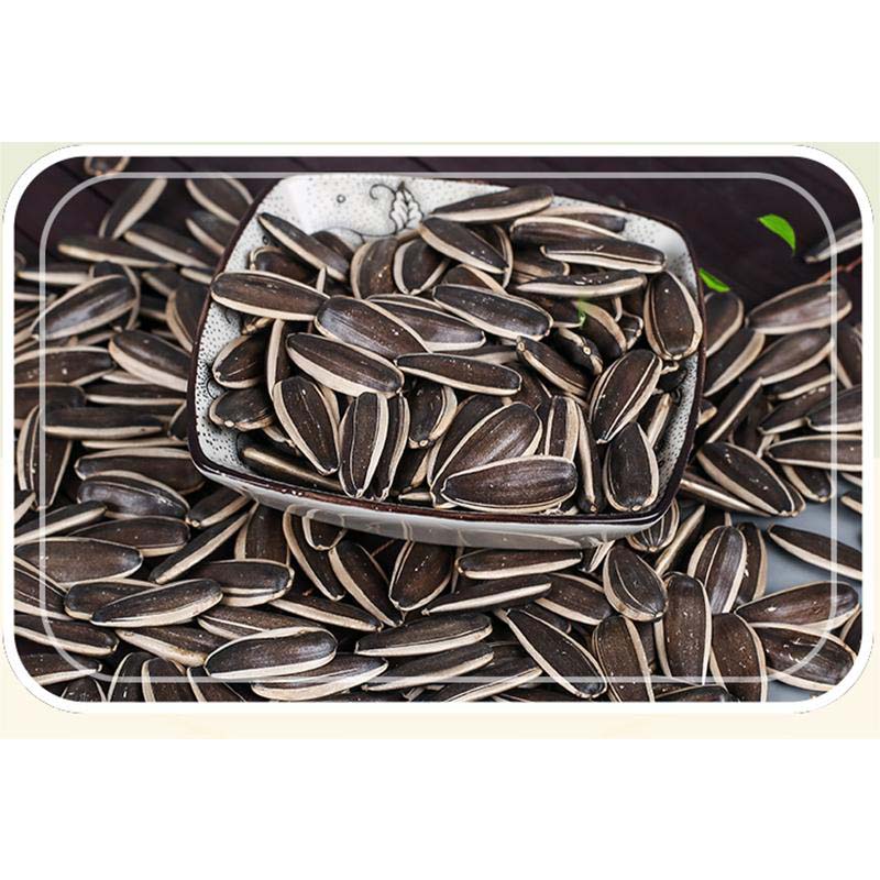 saltless sunflower seeds supplier saltless sunflower seeds supplier