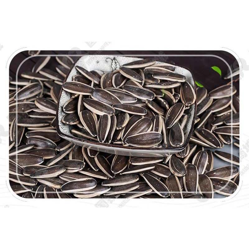 high quality buying sunflower seeds